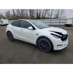 2023 TESLA MODEL Y 7SAYGDEE9PA061482 48570286