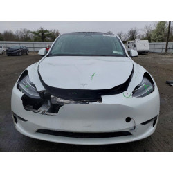 2023 TESLA MODEL Y 7SAYGDEE9PA061482 48570286