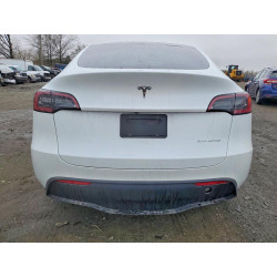 2023 TESLA MODEL Y 7SAYGDEE9PA061482 48570286