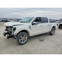 2023 FORD F-150 1FTFW1E51PFC18832 77706875