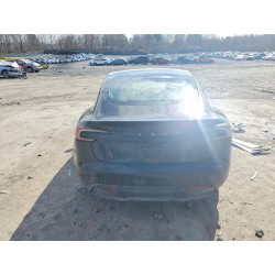 2025 TESLA MODEL 3 5YJ3E1EA4SF040642 41603856