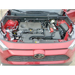 2025 TOYOTA RAV4 2T3A1RFV6SW603946 48002356