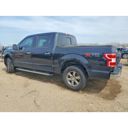 2020 FORD All Models 1FTEW1EP7LKF49560 47136146