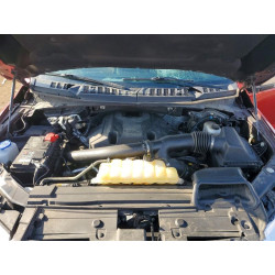2020 FORD F150 1FTEW1E48LFA47381 47595246