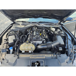 2022 FORD MUSTANG 1FATP8UH8N5101598 48984876