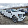 2023 FORD F-150 1FTEX1EP9PKE87615 77290315