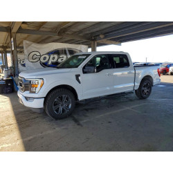 2023 FORD F-150 1FTEW1CPXPKF54180 77230225