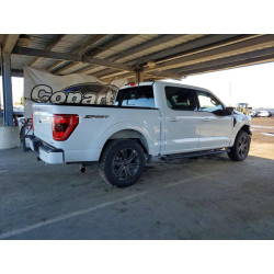 2023 FORD F-150 1FTEW1CPXPKF54180 77230225