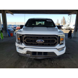 2023 FORD F-150 1FTEW1CPXPKF54180 77230225