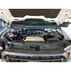 2023 FORD F-150 1FTEW1CPXPKF54180 77230225