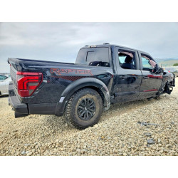 2025 FORD F150 1FTFW1RG5SFB39457 48091596