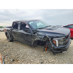2025 FORD F150 1FTFW1RG5SFB39457 48091596