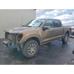 2022 FORD F-150 1FTEW1EP3NKE34764 50608746