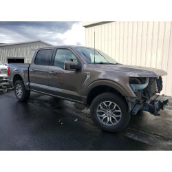 2022 FORD F-150 1FTEW1EP3NKE34764 50608746