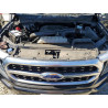 2021 FORD F-150 1FTFW1E85MFC33999 46241176