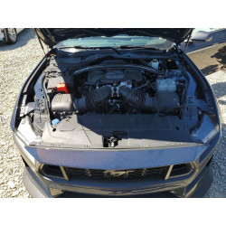 2024 FORD MUSTANG DA 1FA6P8R07R5501075 48843766