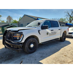 2025 FORD F150 1FTFW1P85SKD25261 48934696