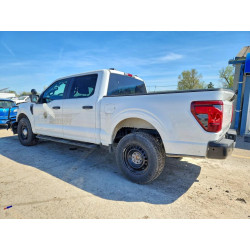 2025 FORD F150 1FTFW1P85SKD25261 48934696