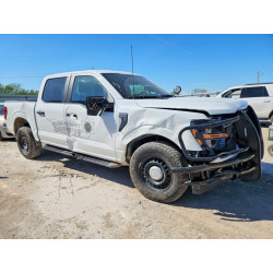 2025 FORD F150 1FTFW1P85SKD25261 48934696