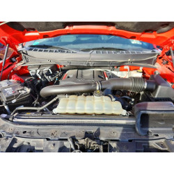 2022 FORD F150 1FTFW1RG0NFC21343 78712895