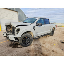 2024 FORD F150 1FTFW3L81RKE22596 78810735