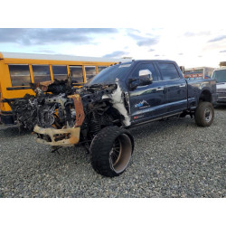 2025 FORD F350 1FT8W3BM1SEC61551 96597205