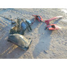 2020 FORD ALL Models 1FATP8UH5L5133082 46530816