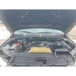2020 FORD All Models 1FTFX1E50LKE02805 49123676