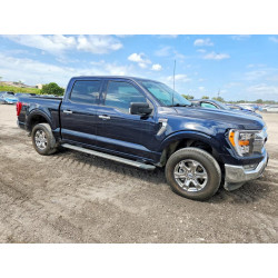 2023 FORD F-150 1FTFW1E84PKF79795 49938976