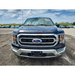2023 FORD F-150 1FTFW1E84PKF79795 49938976