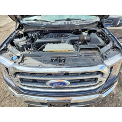 2023 FORD F-150 1FTFW1E84PKF79795 49938976