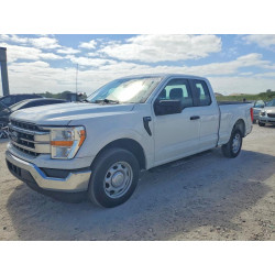 2023 FORD F-150 1FTEX1CP8PKF13818 50268236