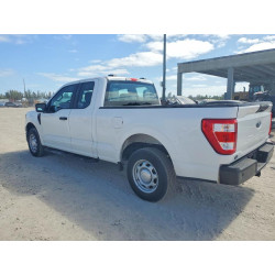 2023 FORD F-150 1FTEX1CP8PKF13818 50268236