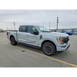 2023 FORD F-150 1FTEW1EP7PKD74328 45856896