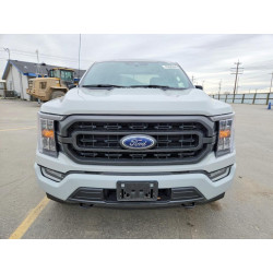 2023 FORD F-150 1FTEW1EP7PKD74328 45856896