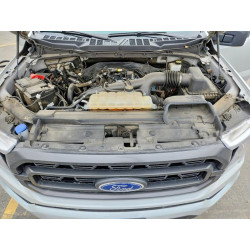 2023 FORD F-150 1FTEW1EP7PKD74328 45856896