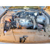 2025 FORD ALL Models 1FA6P8TH4S5122541 45820306