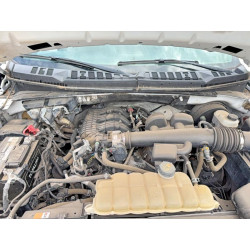 2020 FORD All Models 1FTMF1CB6LKD44069 49313466