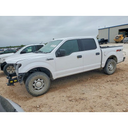 2020 FORD All Models 1FTEW1E54LKD38167 50053726