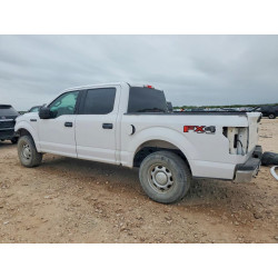 2020 FORD All Models 1FTEW1E54LKD38167 50053726