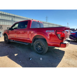 2024 FORD All Models 1FTFW3LD2RFB13046 45487816