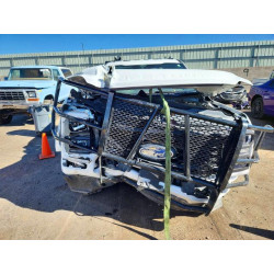 2025 FORD F250 1FT8W2BN2SED68935 49515436