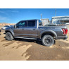 2020 FORD All Models 1FTFW1RG8LFB66895 79011875