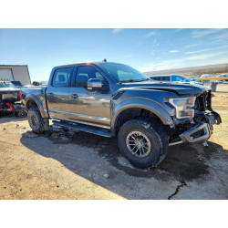 2020 FORD All Models 1FTFW1RG8LFB66895 79011875