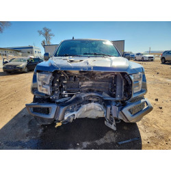 2020 FORD All Models 1FTFW1RG8LFB66895 79011875
