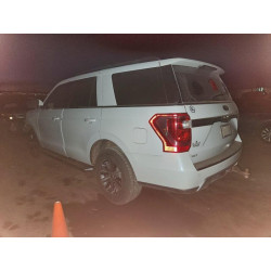 2020 FORD EXPEDITION 1FMJU1JT5LEA15605 97672715