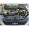 2025 FORD MAVERICK L 3FTTW8SA2SRA20382 98184315