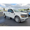 2024 FORD All Models 1FTEX1KP5RKE49628 79042435