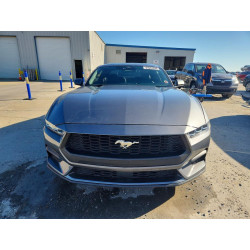 2024 FORD ALL Models 1FA6P8TH3R5107359 41642036