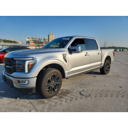 2025 FORD F150 PLATI 1FTFW7L8XSFB48885 47058686